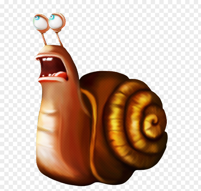 Snails And Slugs Snail Sea Lymnaeidae Still Life PNG