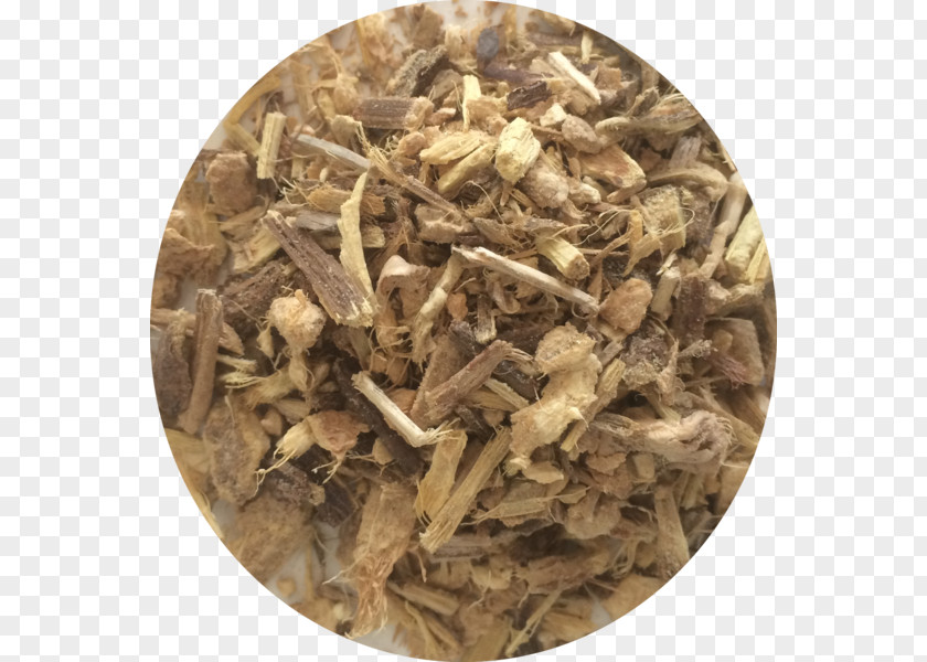 Tea Hōjicha O-Joe Coffee United States PNG