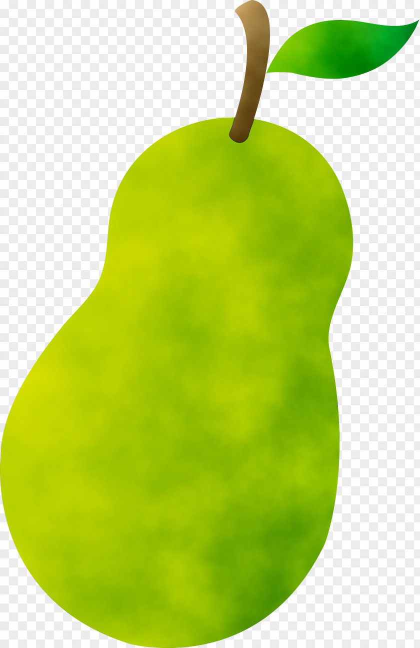 Clip Art Asian Pear Chinese White Image PNG