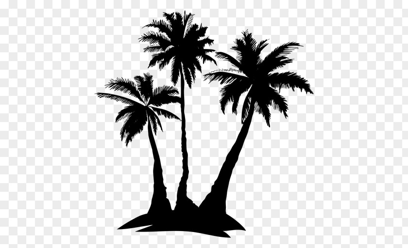 Summer Coconut Grove Play Background Arecaceae Silhouette Drawing Tree PNG