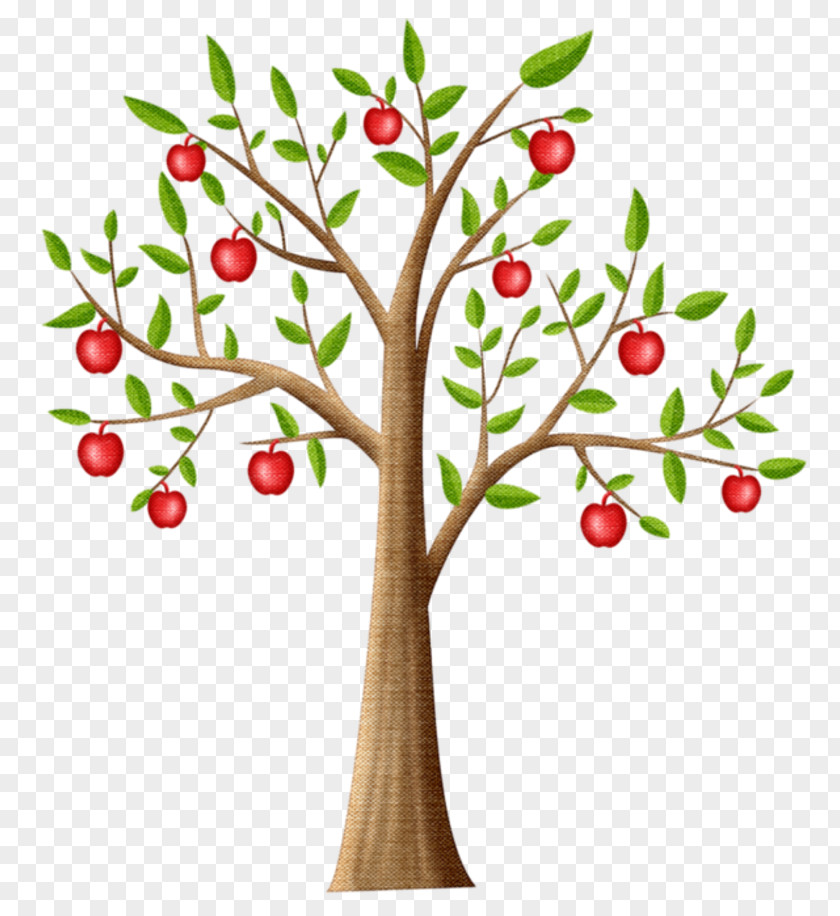 Tree Twig Fruit Apple Clip Art PNG
