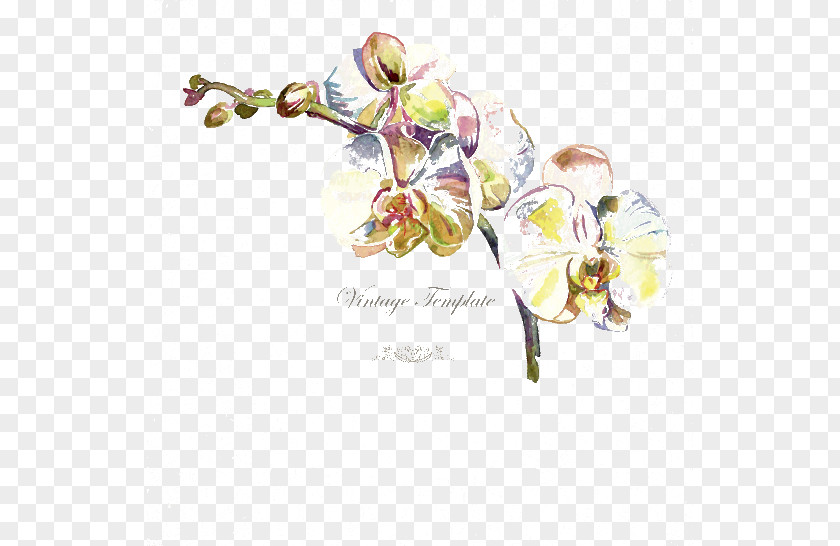 Vector Hand-painted Floral Border Stock Photography Royalty-free Drawing Illustration PNG