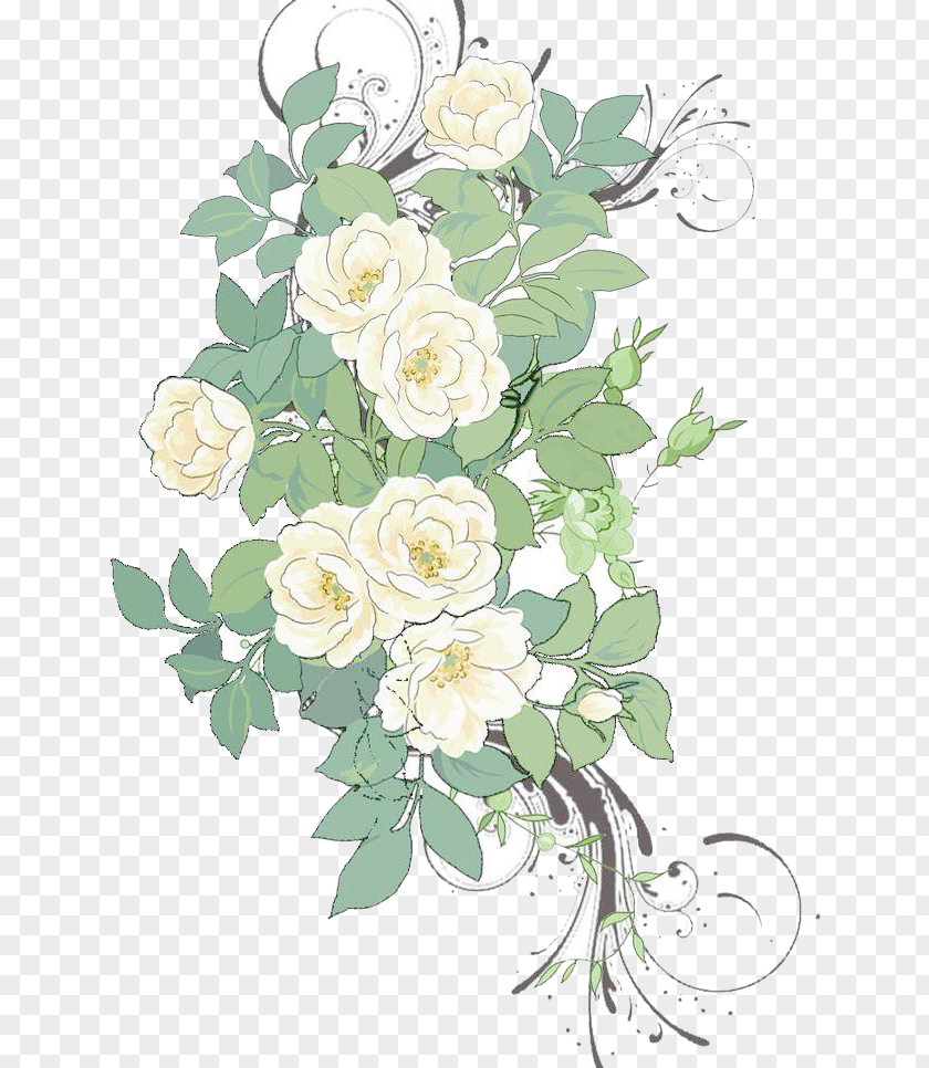 White Rose Flowers Background Material Flower Painting Pattern PNG