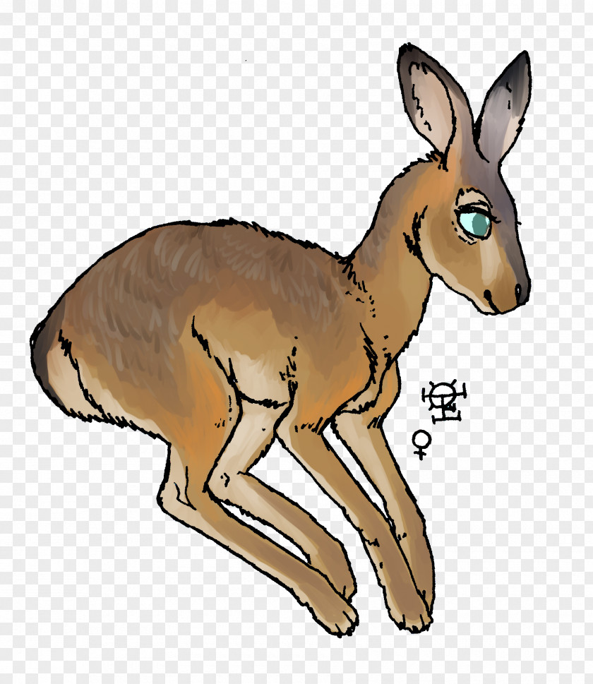 Argus Symbol Red Fox Deer Hare Imgur LLC Moschus PNG