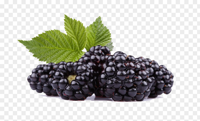 Black Raspberries HD Frutti Di Bosco Raspberry Blackberry Red PNG