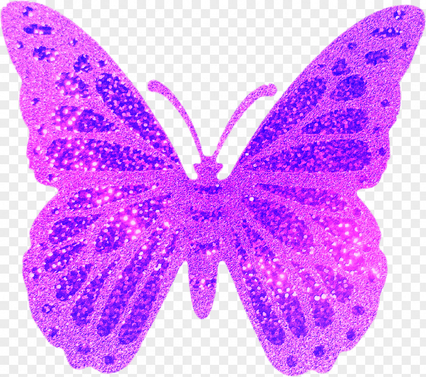 Butterflies And Moths Briante Dream PNG