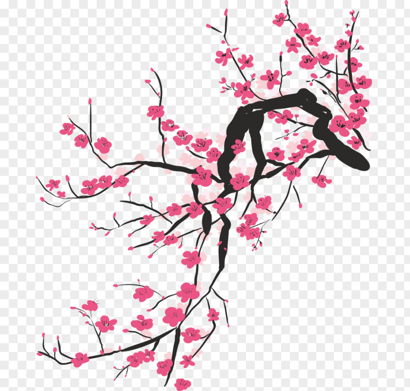 Cherry Blossom National Festival Sakura Square PNG