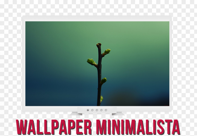 Computer Desktop Wallpaper Brand Font PNG