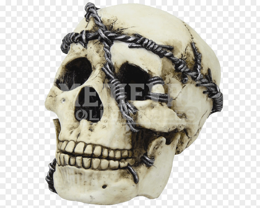 Skull Barbed Wire Circuit Diagram Tape PNG