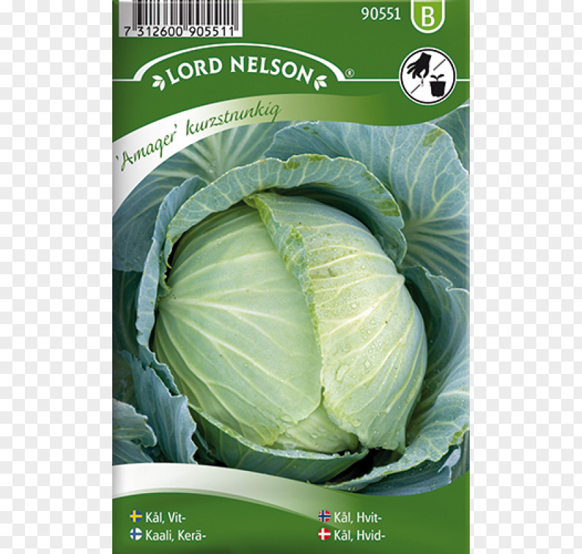 Brassica Oleracea Formula 1 Broccoli Seed Vegetable Bok Choy PNG