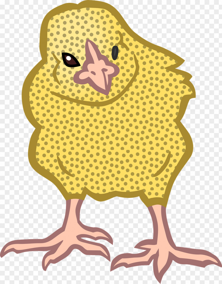 Chicken Fried Broad Breasted White Turkey Black Vector Graphics PNG