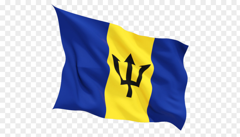 Flag Of Barbados Romania Senegal Romanian PNG