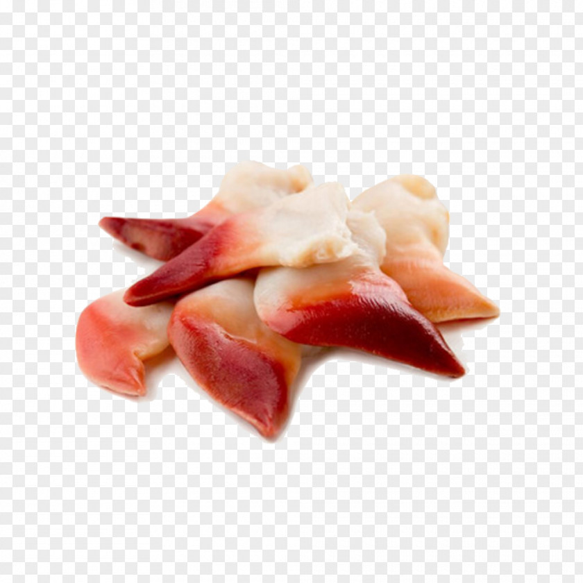 Frozen Arctic Bay Sashimi Sea Cucumber As Food Japanese Cuisine Clam PNG