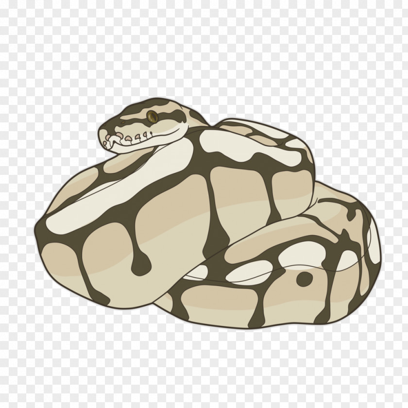 Snake Cartoon Ball Python Reptile African Rock PNG