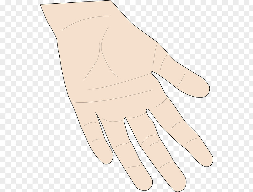 Wrist Formal Gloves Hand Finger PNG