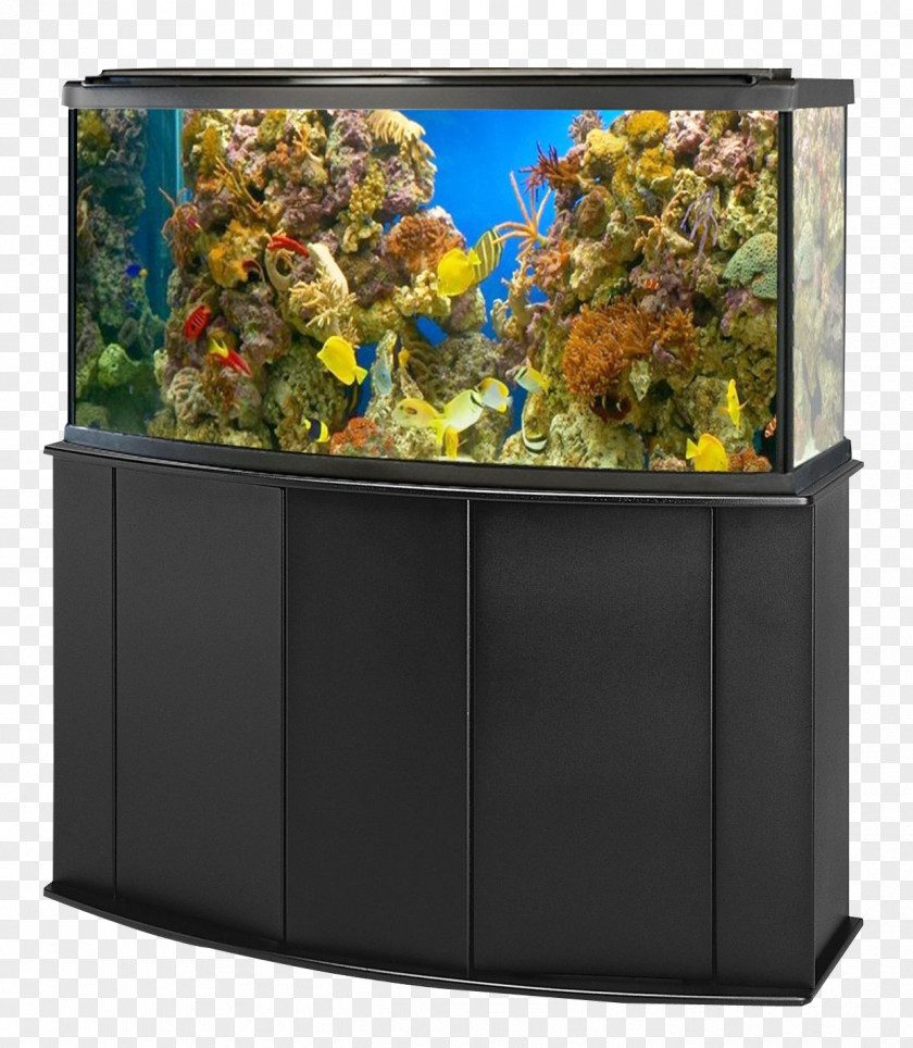 Aquarium Fish Tank Goldfish Ornamental PNG