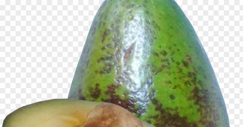 Avocado Fruit Pineapple Common Plum PNG