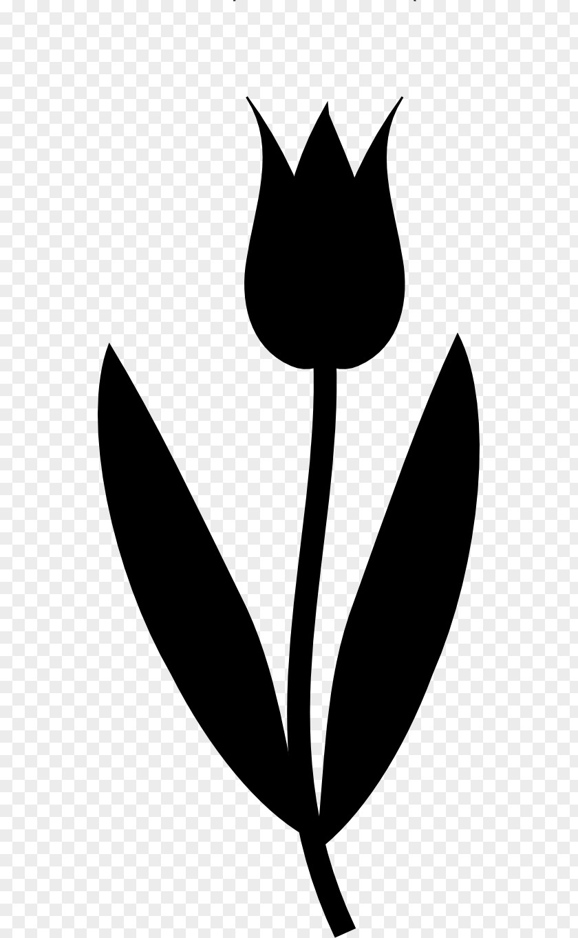 Clip Art Flower Garden Plant Stem Leaf PNG