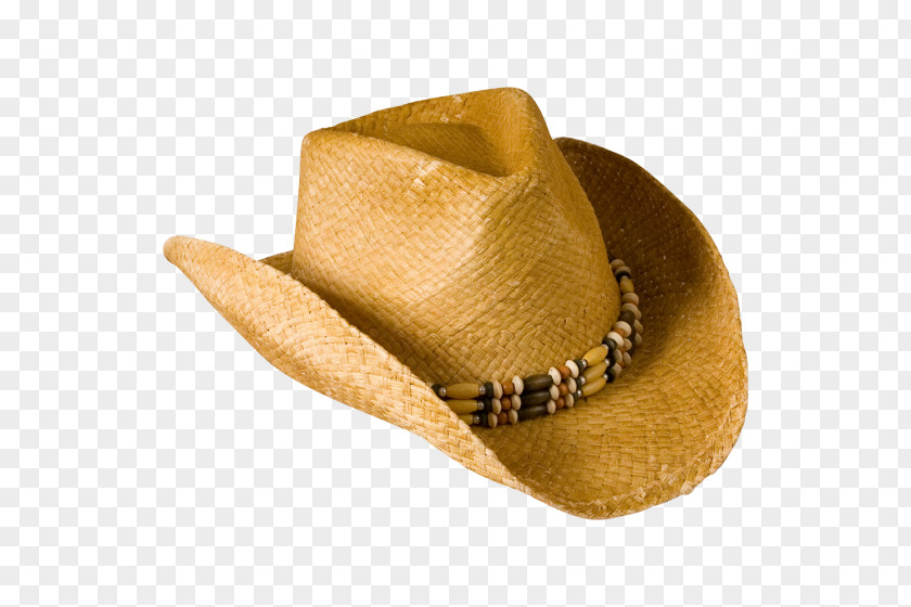 Cowboy Hat Clothing Accessories Headgear Newsboy Cap PNG