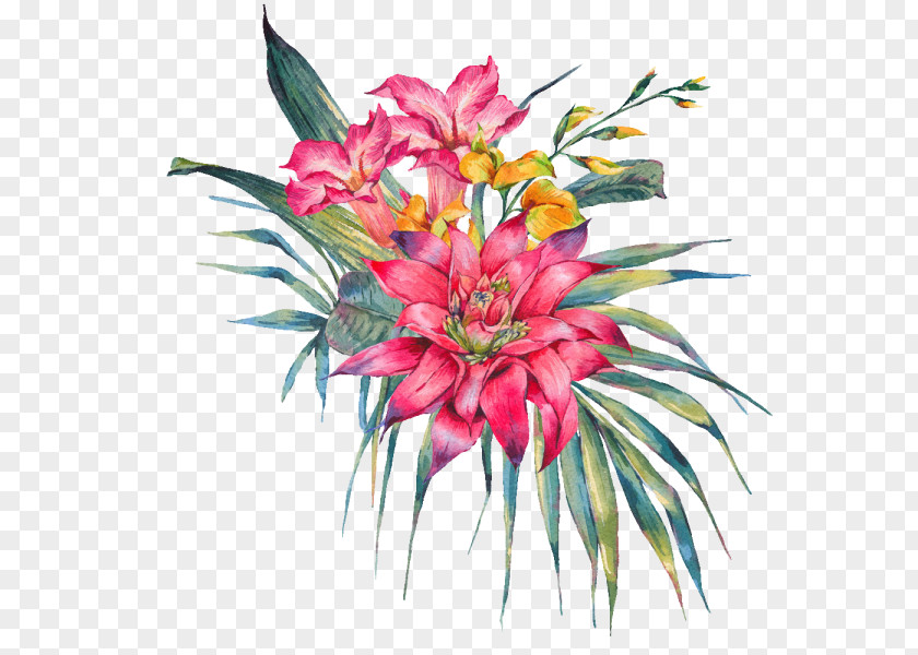 Flower Floral Design Card Greeting & Note Cards Illustration PNG