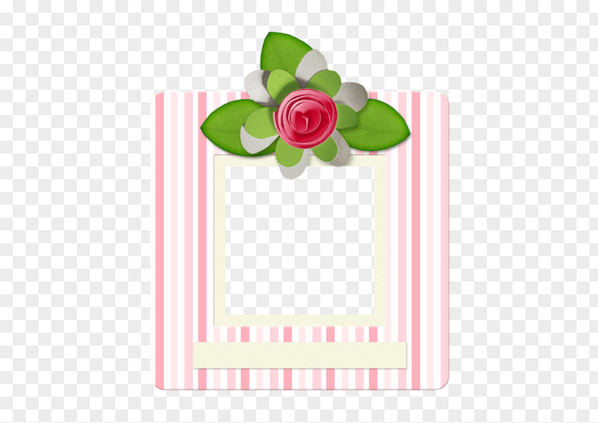Flowers Decorated With Pink Frame Green Picture PNG