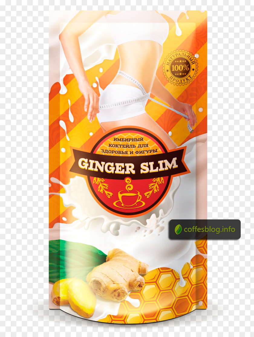 Ginger Family Cocktail Vegetarian Cuisine Whey PNG