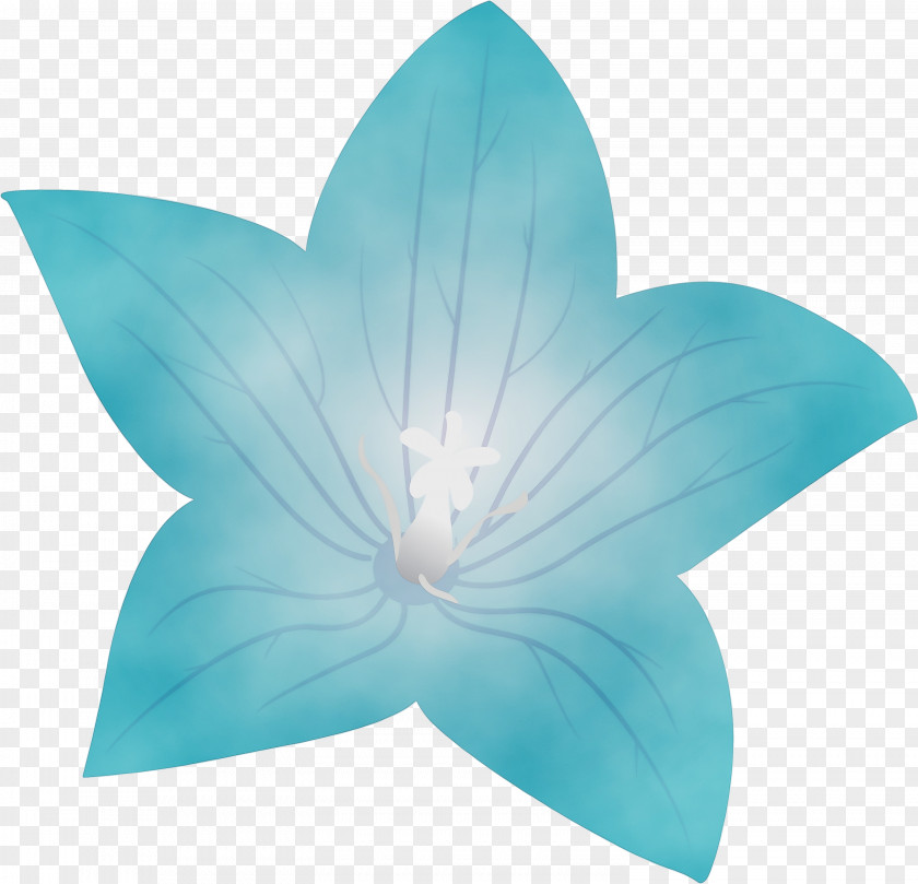 Leaf Turquoise M Symmetry Petal Microsoft Azure PNG