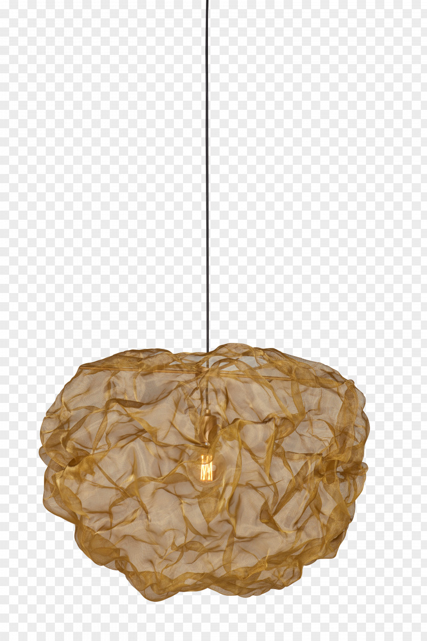 Light Pendant Lighting Fixture PNG