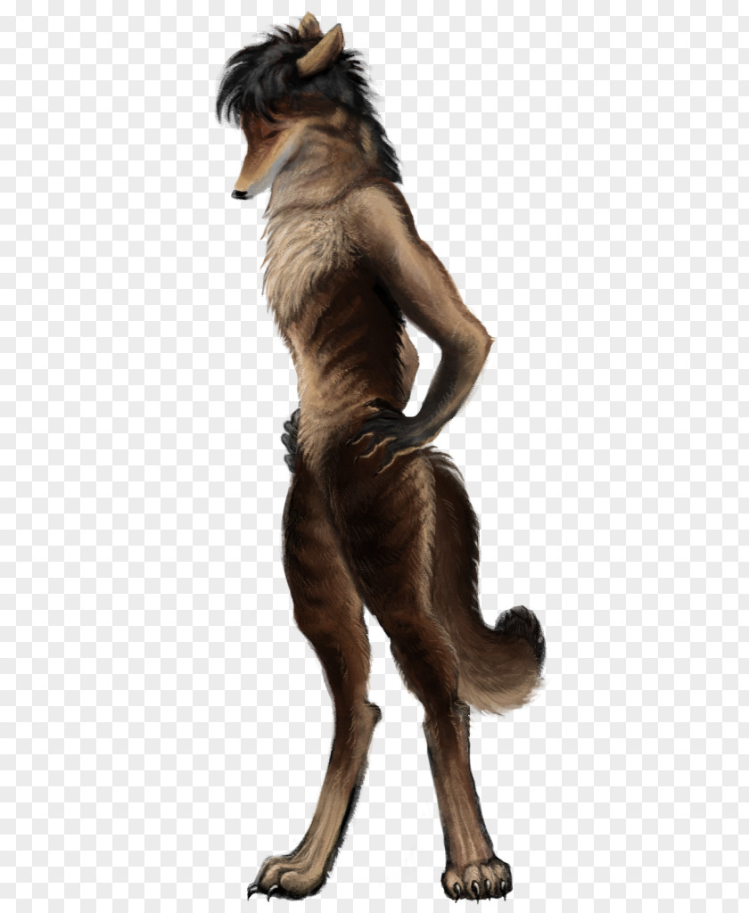 Scattered Coffee Beans Dog Werewolf Fur Tail PNG