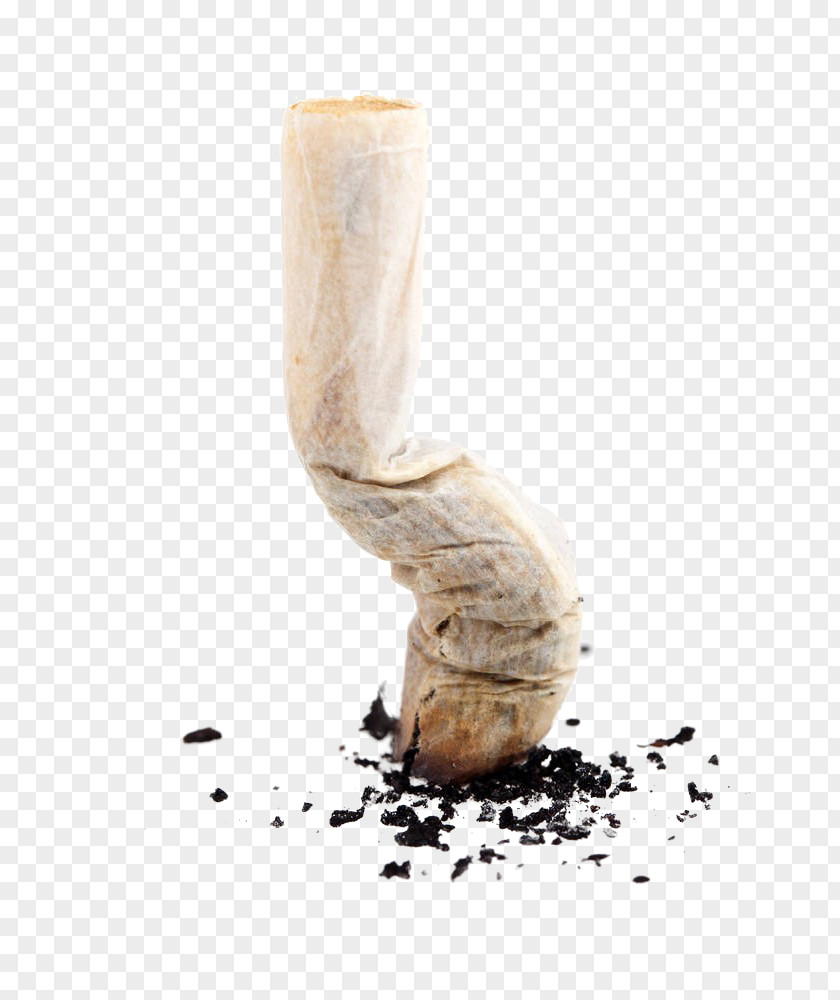 White Cigarette Butts Tobacco Designer Burilla PNG