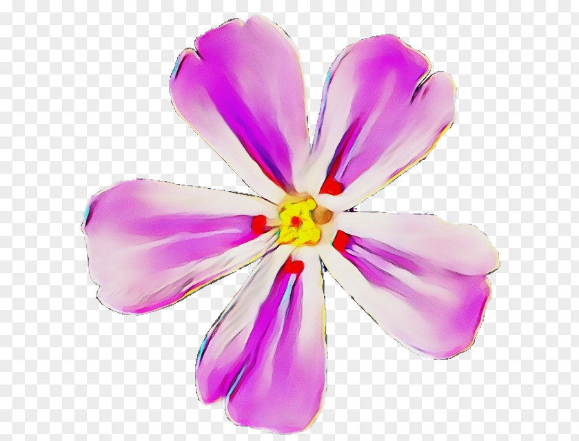 Wildflower Purple Watercolor Flower PNG