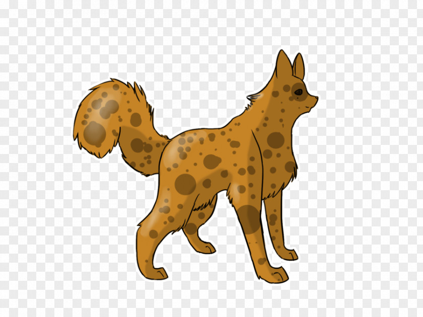 Cat Dog Breed Wildlife PNG