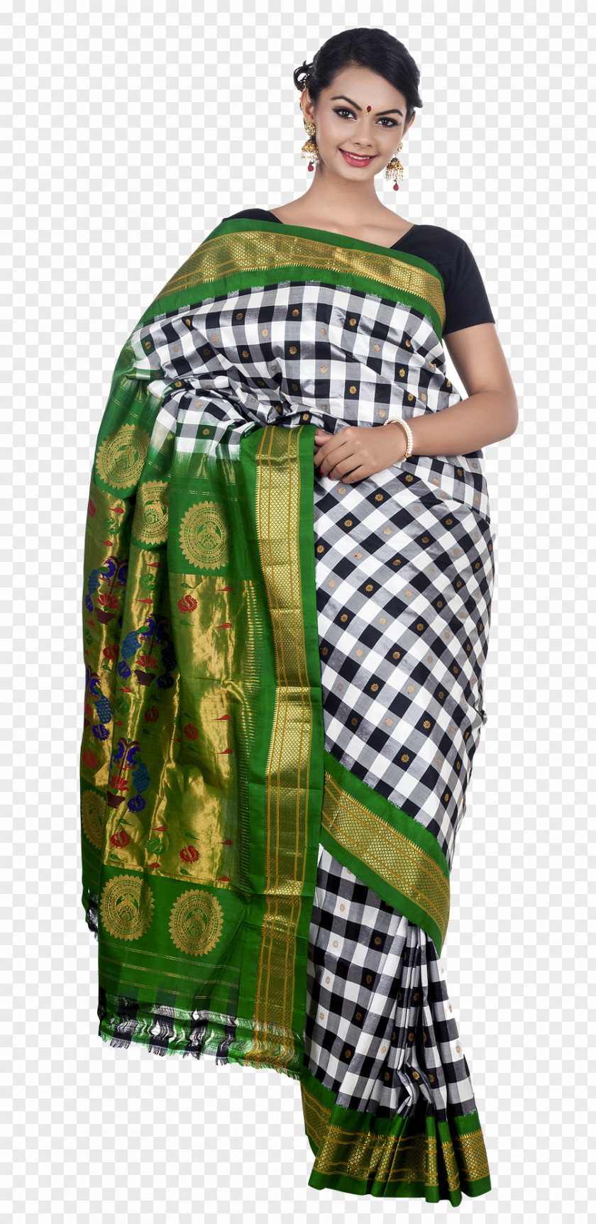 Wedding Saree Sari PNG