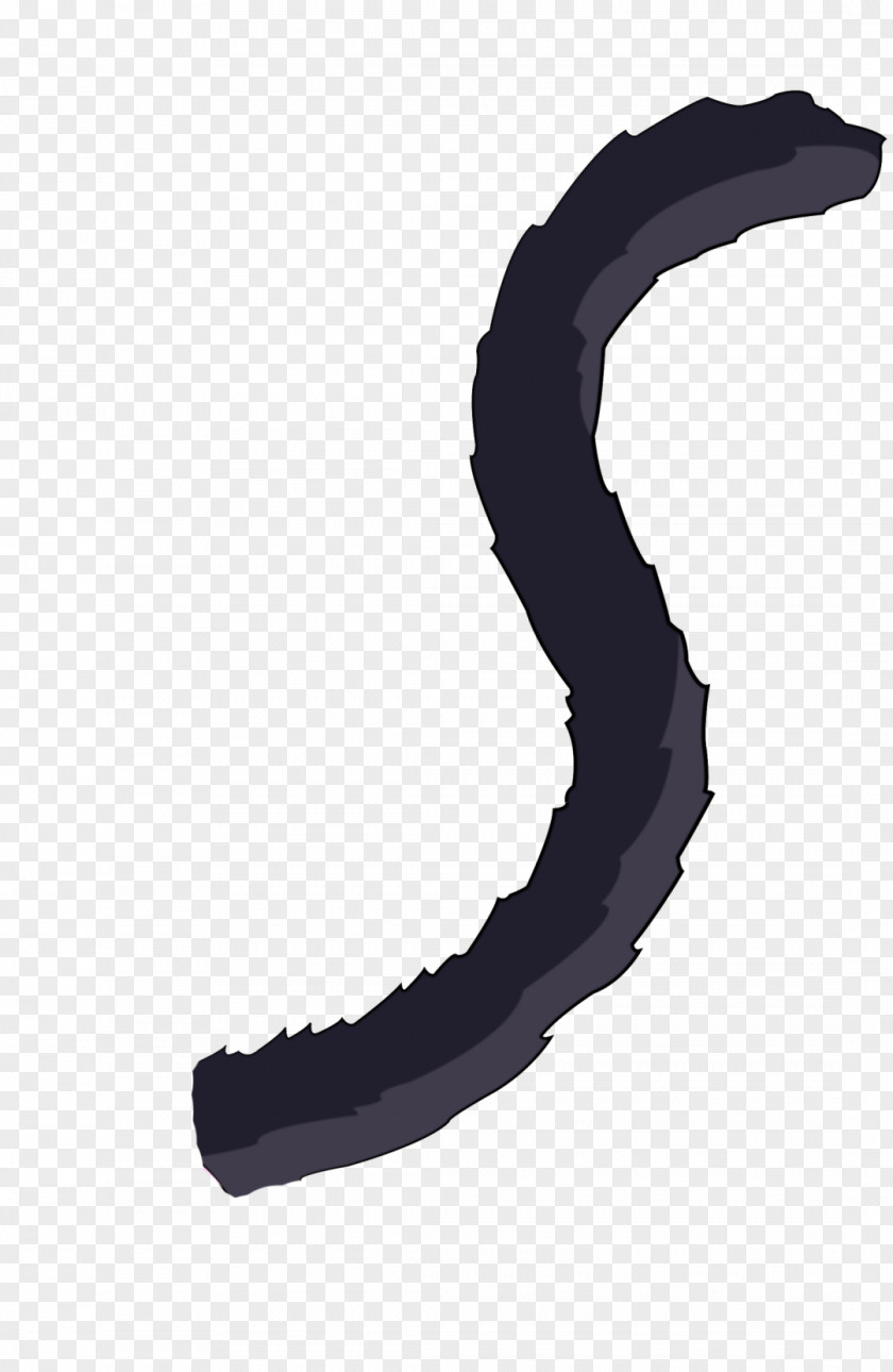 Cat Felidae Tail YouTube PNG