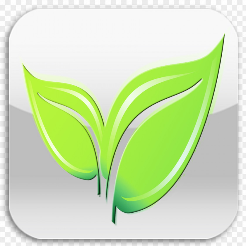 Green Leaf Icon Font PNG