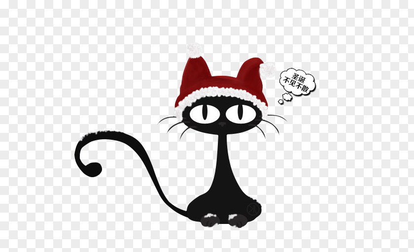 Lynx Cat Christmas Santa Claus Wallpaper PNG