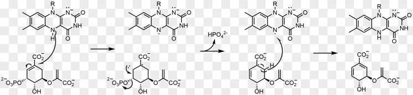 Mechanism Flavin Group Adenine Dinucleotide Molecule Cofactor Redox PNG