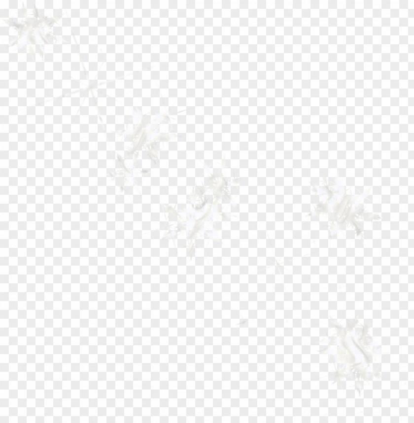 Pretty White Snowflakes Computer Graphics PNG
