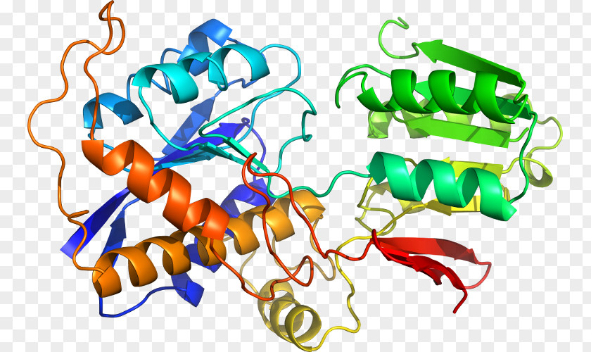 TASP1 Gene Endopeptidase Enzyme Protease PNG