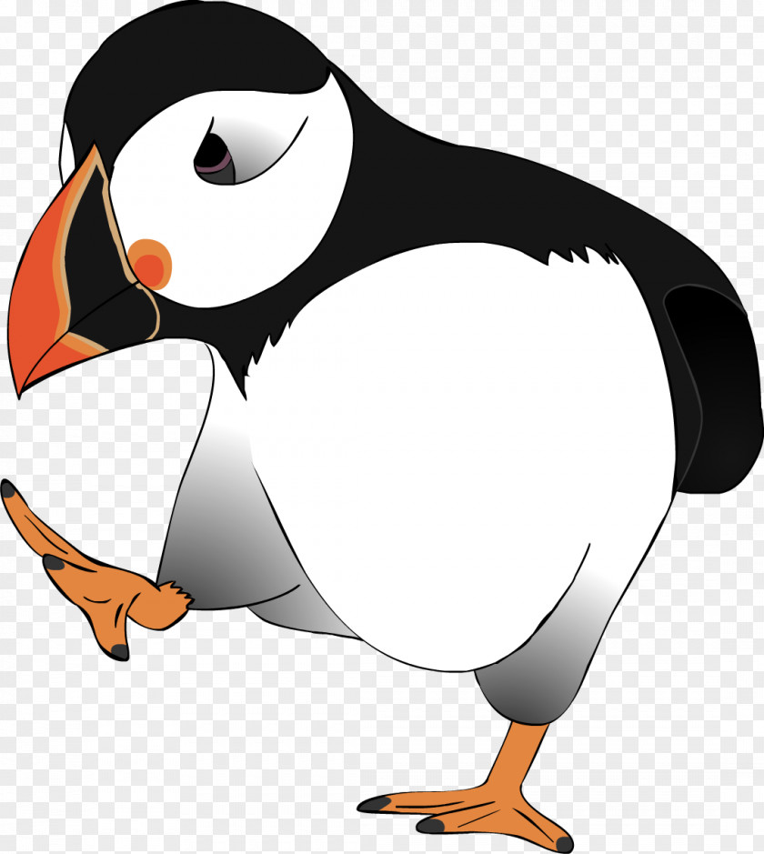 Birdie Flightless Bird Penguin Beak Puffin PNG