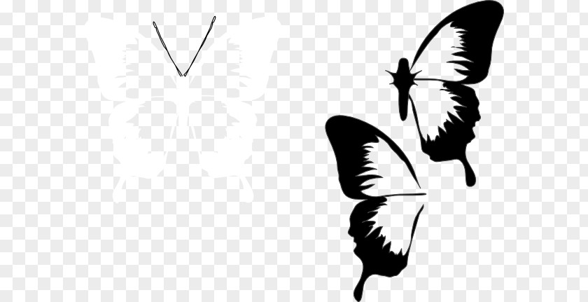 Butterfly Insect Clip Art Drawing Image PNG
