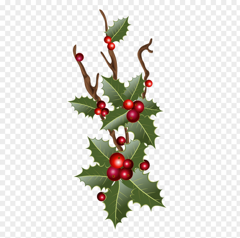 Christmas Day Decoration Vector Graphics Ornament Illustration PNG