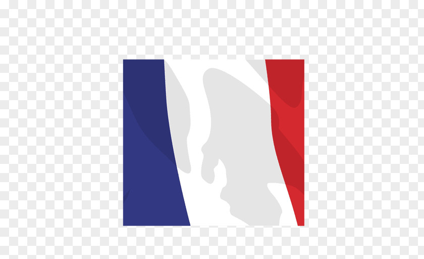 France Flag National Football Team Logo Animation PNG