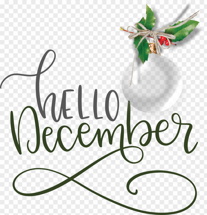 Hello December Winter PNG