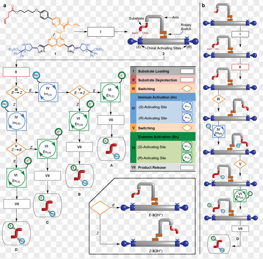 Robot Molecular Machine Chemical Synthesis Enantioselective Molecule Chemistry PNG