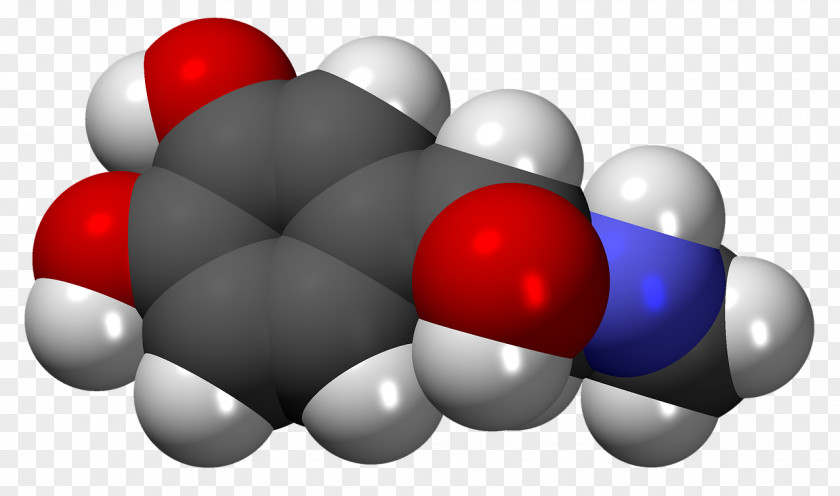 Science Adrenaline Hormone Chemistry Norepinephrine Neurotransmitter PNG