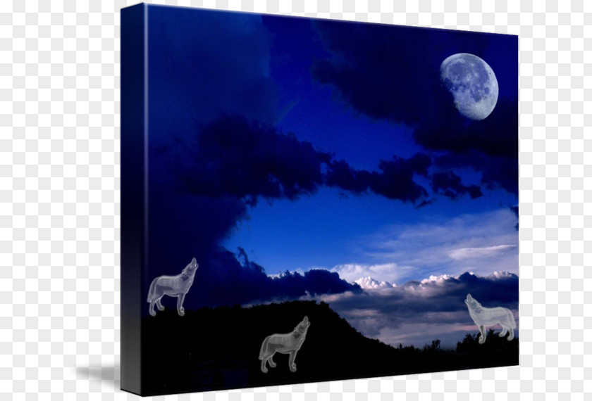 Wolf Howling In The Moonlight Moon Desktop Wallpaper Stock Photography Gray PNG