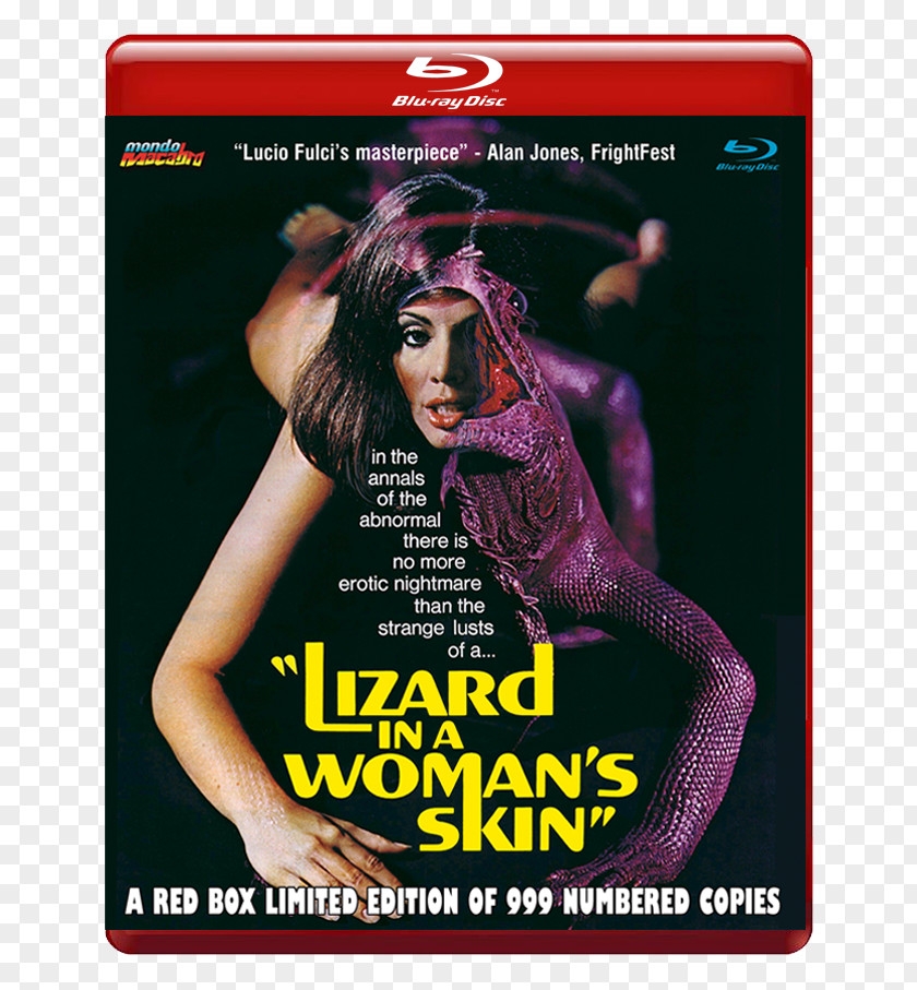 A Woman Released Florinda Bolkan Lizard In Woman's Skin Italy Film Poster PNG