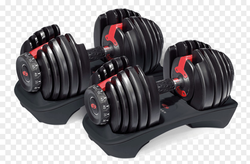 Dumbbell Bowflex Bench Exercise Equipment Weight Training PNG