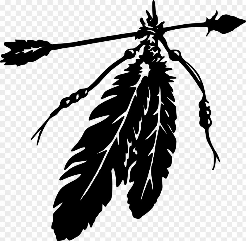 Feather Eagle Law Native Americans In The United States Indian Arrow Clip Art PNG